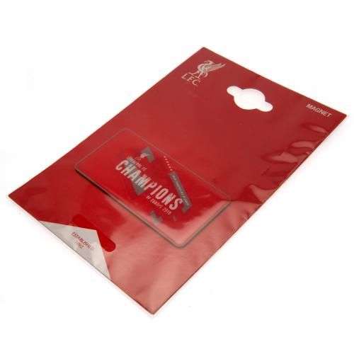   Champions Of Europe Fridge Magnet