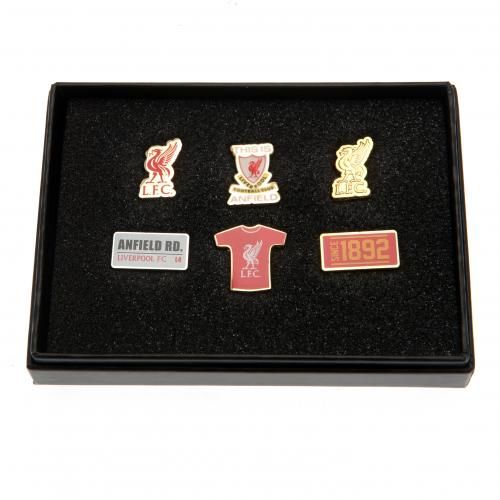    6 Piece Badge Set