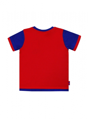 �������� ������� ���� �������, ���� �������