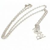   Silver Plated Pendant & Chain LB