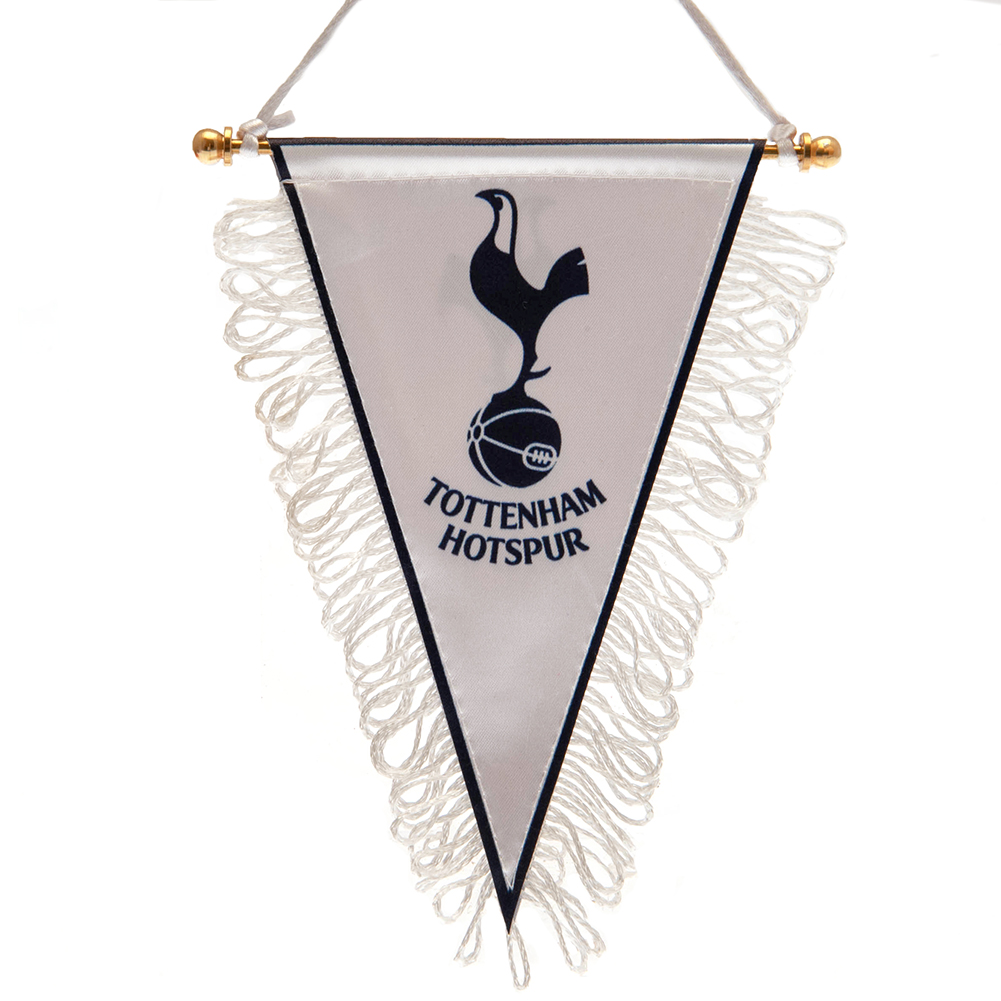   Triangular Mini Pennant