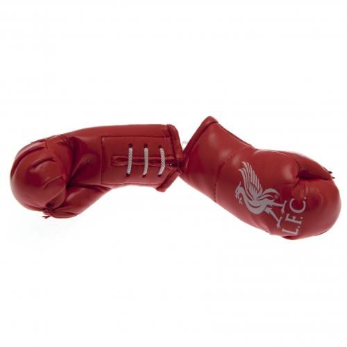     Mini Boxing Gloves