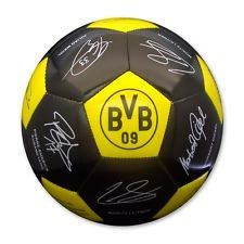 Мяч Боруссия Football SG