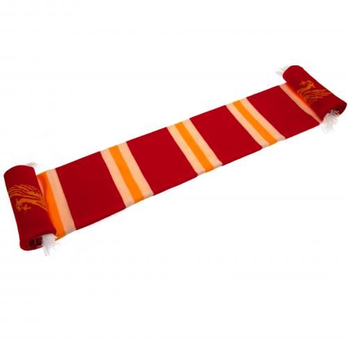 ���� ��������� Stripe Scarf