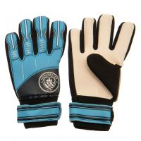      Goalkeeper Gloves Yths DT, 10-12 