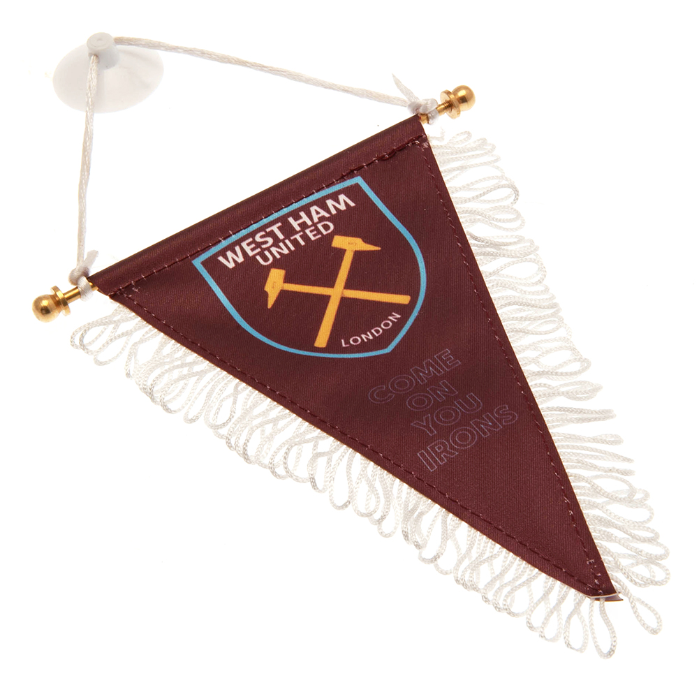    Triangular Mini Pennant