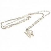 �������� ����� Silver Plated Pendant & Chain LN