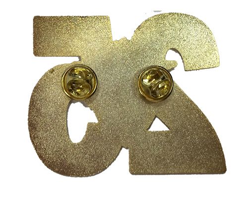 Значок 25-й Чемпионат России