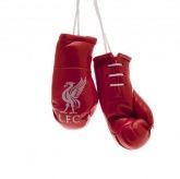     Mini Boxing Gloves