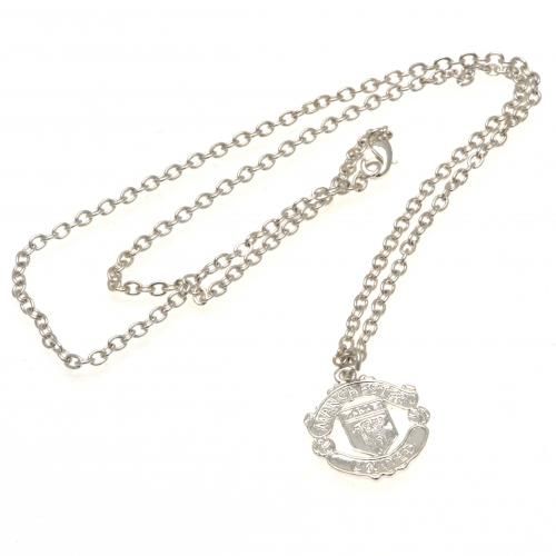 �������� ��������� ������� Silver Plated Pendant & Chain CR