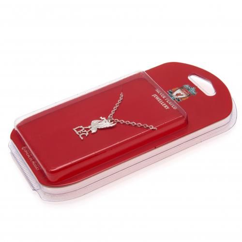   Silver Plated Pendant & Chain LB