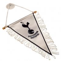   Triangular Mini Pennant