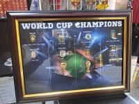   World Cup Champions ( )