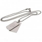 �������� ��������� Double Dog Tag & Chain
