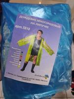 �������� ���� �����