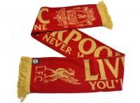 ���� ��������� Scarf Gold Print