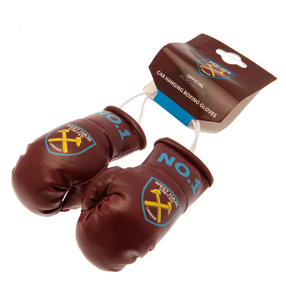     Mini Boxing Gloves