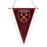   Triangular Mini Pennant
