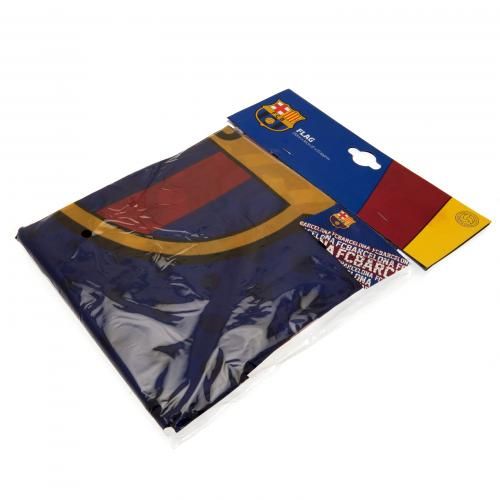 ���� ��������� IP