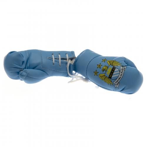 ���� ���������� �������� ��������� ���� Mini Boxing Gloves