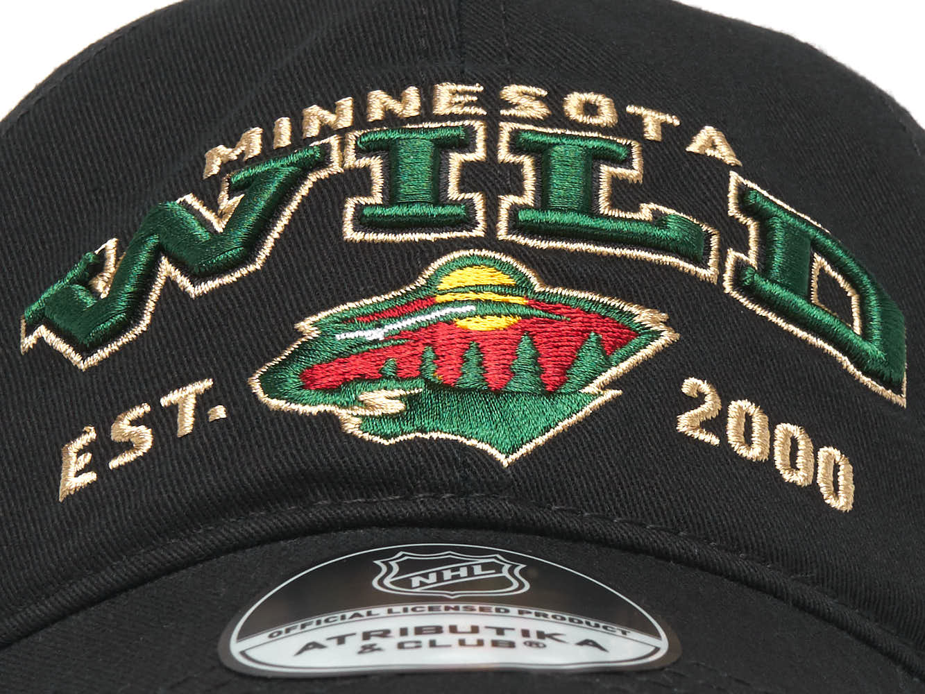  NHL Minnesota Wild  31586