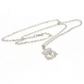   Silver Plated Pendant & Chain CR