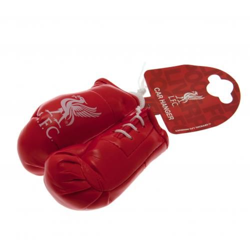     Mini Boxing Gloves