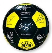 Мяч Боруссия Football SG