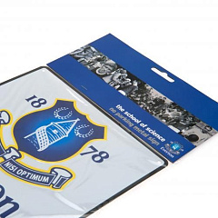 Табличка Эвертон No Parking Sign