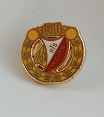 Значок Видзев