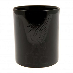 Кружка Ливерпуль Heatmug