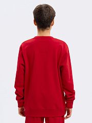 Свитшот Спартак детский 111570