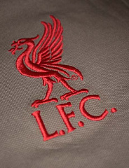 Футболка-поло FC Liverpool GY