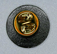 Значок Динамо "Петровский Парк" 19мм