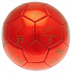 Мяч Ливерпуль Champions Of Europe Football Signature