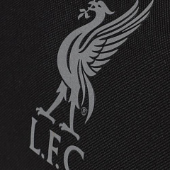 Спортивная сумка Ливерпуль Rolebag Holdall Tidepool