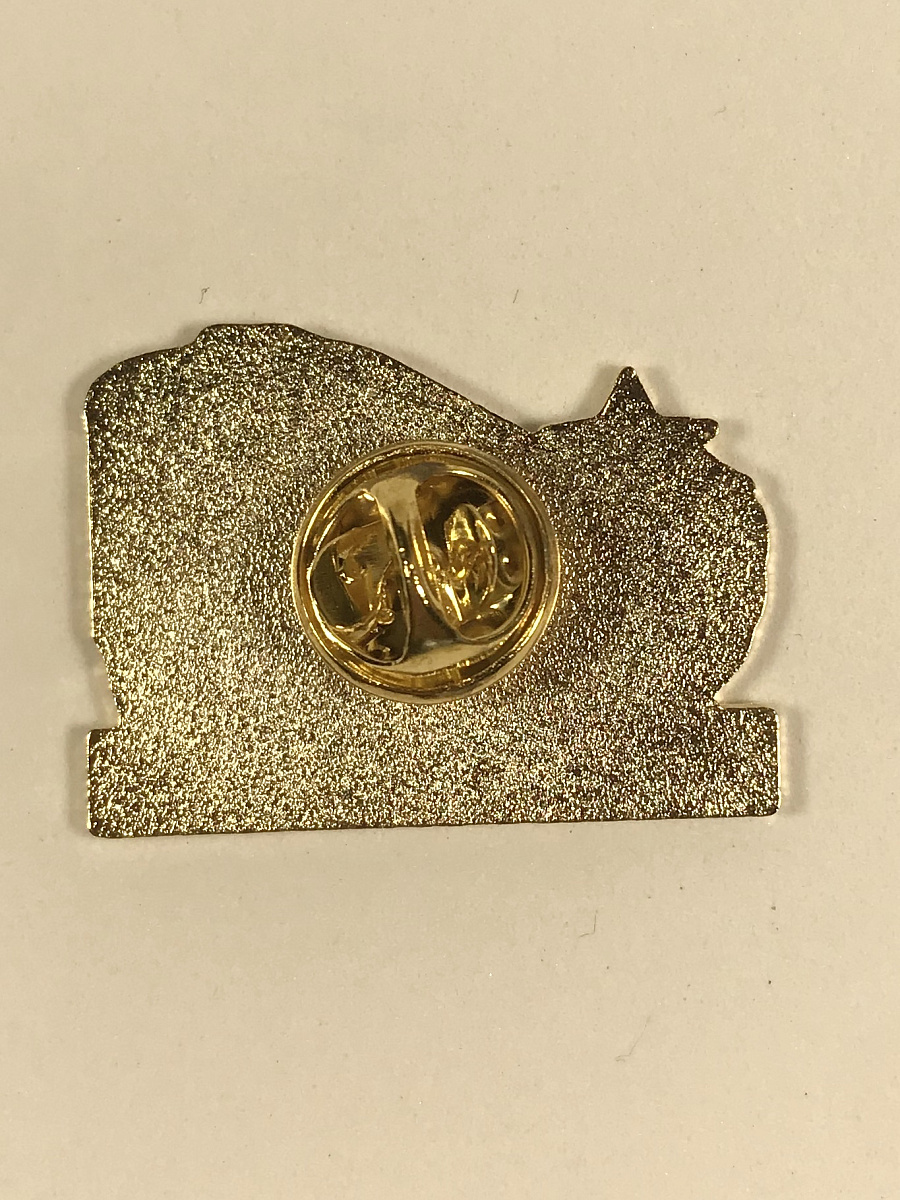 Значок ЦСКА "Банда едет на выезд. Электричка"