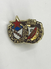 Значок ЦСКА-Видзев (м)