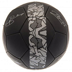 Мяч Тоттенхэм Football Signature PH
