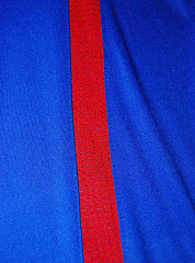 Шорты ЦСКА детские игровые домашние 2020/2021