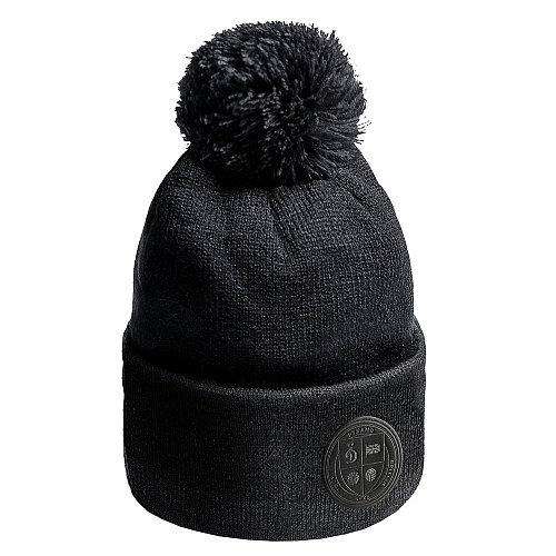 Шапка Динамо 60182 черная с помпоном