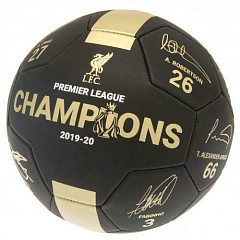 Мяч Ливерпуль Premier League Champions Football Signature PH