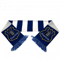 Шарф Эвертон Bar Scarf YL