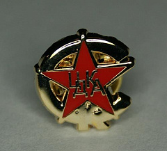 Значок ЦДКА (м)