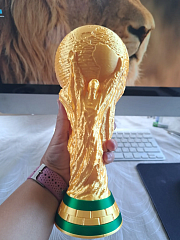 Кубок Мира FIFA трофей 25 см