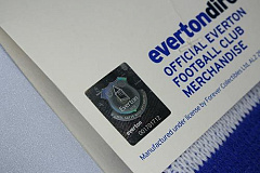 Шарф Эвертон Scarf WH