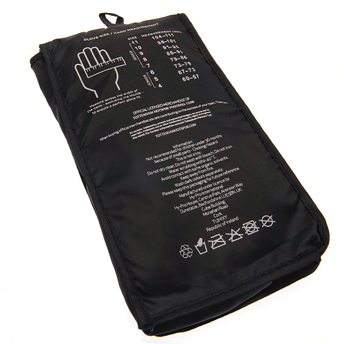 Вратарские перчатки Тоттенхэм детские Goalkeeper Gloves Kids DT, 7-9 лет