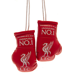 Мини боксерские перчатки Ливерпуль Red Mini Boxing Gloves